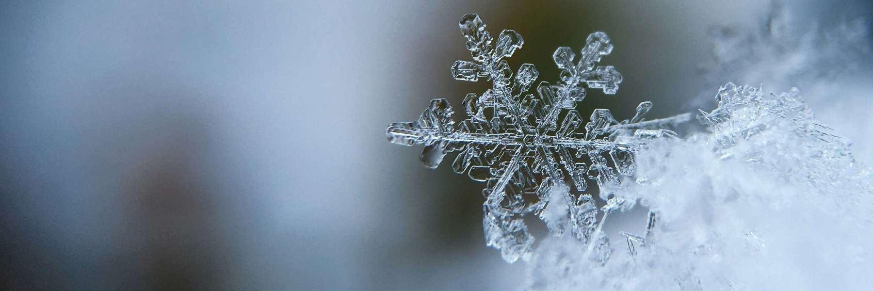 closeup image of a snowflake